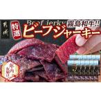 ふるさと納税 【年内お届け】【霧島和牛】ビーフジャーキー(10パック)≪2025年12月15日〜31日お届け≫_MK-E901-HNY 宮崎県都城市