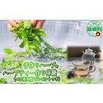 飯綱ハーバルブリーズ ハーブ体験 ペア 6月中旬~10月末