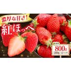 苺 紅ほっぺ 200g×4パック