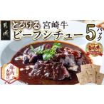 ふるさと納税 【年内お届け】とろける宮崎牛ビーフシチュー5パックセット≪2025年12月15日〜31日お届け≫_MJ-H301-HNY 宮崎県都城市