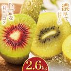 訳あり キウイフルーツ 紅妃 2.6kg