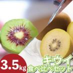 ふるさと納税 訳あり キウイフルーツ 食べ比べ 3.5kg 先行予約 2026年10月上旬〜 キウイ 徳島県吉野川市