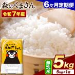 令和7年産 無洗米 森のくまさん 5kg