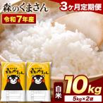 令和7年産 白米 森のくまさん 10kg