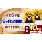 ふるさと納税 【6ヶ月定期便】令和6年産 白米 森のくまさん 10kg 5kg×2袋 《お申込み月の翌月から出荷開始》 熊本県産 白米 精米 米 こめ .. 熊本県御船町