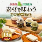 アイスクリーム 丹波篠山素材 13個