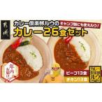 ふるさと納税 【年内お届け】カレー倶楽部ルウの26食カレーセット(ビーフ13食&チキン13食)≪2025年12月15日〜31日お届け≫_14-2701-HNY_(都.. 宮崎県都城市