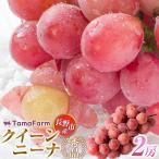 タマファーム クイーンニーナ 2房