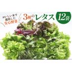 fu.... налог Toyama. .... вода . производство сделал безопасность овощи (12 пакет )[ Hokuriku машинное оборудование Toyama лодка ..57050150] Toyama лодка ..