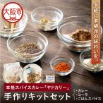 本格スパイスカレー ヤドカリー 手作りキットセット