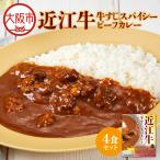 近江牛すじスパイスカレー160g×4食セット