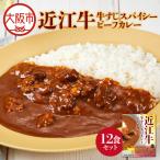 近江牛すじスパイスカレー160g×12食セット