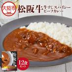 松阪牛すじスパイスカレー160g×12食セット