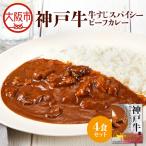 神戸牛すじスパイスカレー160g×4食セット