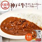 神戸牛すじスパイスカレー160g×6食セット