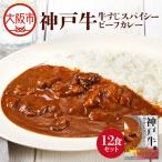 神戸牛すじスパイスカレー160g×12食セット