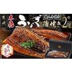 ふるさと納税 【年内お届け】職人手焼きの本格うなぎ蒲焼き2尾≪2025年12月15日〜31日お届け≫_MJ-3305-HNY_(都城市) 国産 本格 うなぎ 鰻 蒲焼 .. 宮崎県都城市