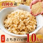 とちぎの星 玄米 10kg