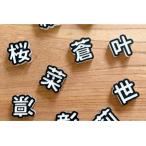 防災 防犯用 笛 effe エッフェ ~pensiero~