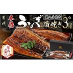 ふるさと納税 【年内お届け】職人手焼きの本格うなぎ蒲焼き3尾≪2025年12月15日〜31日お届け≫_AC-3301-HNY_(都城市) 鰻蒲焼 3尾 (総重量450g以.. 宮崎県都城市