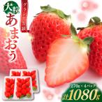 博多あまおう いちご 1080g