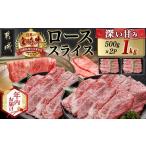 ふるさと納税 【年内お届け】宮崎牛ローススライス(500g×2P)≪2025年12月15日〜31日お届け≫_AE-N402-HNY_(都城市) 宮崎県産 宮崎牛 ロース.. 宮崎県都城市