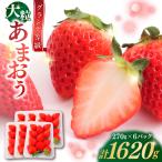 あまおう いちご 1620g