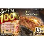 長崎和牛特選ハンバーグ150g×15