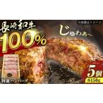 長崎和牛特選ハンバーグ150g×5