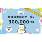 日本旅行 地域 旅行クーポン300,000円分