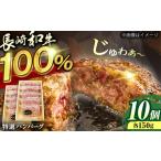 長崎和牛特選ハンバーグ150g×10