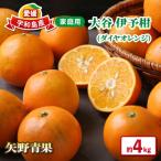 大谷 伊予柑 約 4kg