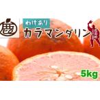 カラマンダリン 5kg+250g 痛み補償分