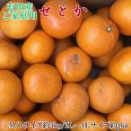 訳あり ご 一度は食べていただきたい 有田産のせとか