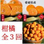 ショッピング甘平 ふるさと納税 【発送月固定定期便】【訳あり】甘平 せとか みかん【H83-51】全3回【4068840】 愛媛県八幡浜市