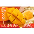 ショッピングふるさと納税 マンゴー ふるさと納税 数量限定 宮崎県産 完熟マンゴー 2L×3玉 計1050g以上 期間限定 フルーツ スイーツ 果物 くだもの 食品 グルメ デザート 国産 .. 宮崎県日南市