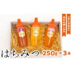 湧水の郷しおや はちみつ250g×3本セット◇