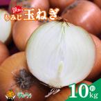 もみじ 玉ねぎ 約10kg