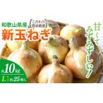 ふるさと納税 和歌山県産新玉ねぎ約10kg Lサイズ 約25個入り こだわり農家厳選!【2026年4月末頃〜6月中旬に発送予定】人気 おすすめ た.. 和歌山県かつらぎ町