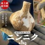 超芳醇 つくばみらいの土が育んだ 最上級ニンニク 約1kg