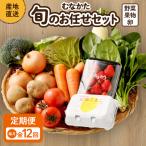 むなかた旬のお任せセット 野菜 フルーツ 卵 9~11品 _AM0194-00 定期便 詰め合わせ