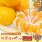 興居島みかん 約3kg
