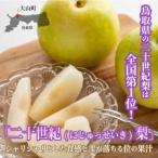 ふるさと納税 【先行予約】DS-02　二十世紀梨（５ｋｇ） 鳥取県大山町