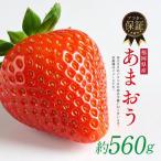 博多あまおう 計約560g ONE GO あまおう