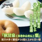 ふるさと納税 DS-04 秋甘泉梨(5kg) 鳥取県大山町