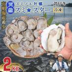 有明海産住之江牡蠣 冷凍スミ☆スター 2kg