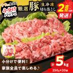 生冷凍 厳選 豚切り落とし 計5kg