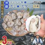有明海産住之江牡蠣 冷凍スミ☆スター 3kg
