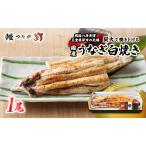 うなぎ 白焼き 炭火焼 うな丼