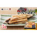 うなぎ 白焼き 炭火焼 うな丼